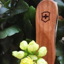 Victorinox Nail Clip 580 - Walnut 11 Victorinox Nail Clip 580 - Walnut -Outdoor Equipment Store 0.6461.63 5 600x600 5830c94e 67cf 474d b2ba 9efa7ef6d0f0