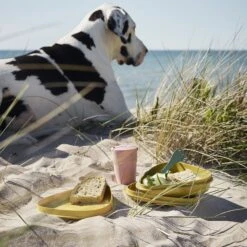 Light My Fire Eat´n Drink Kit BIO For 4 Nature -Outdoor Equipment Store 2f9ba20e0235df98918201b6cf544baa 1