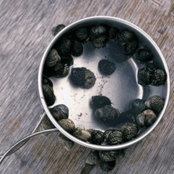 Snow Peak Titanium Personal Cookerset -Outdoor Equipment Store 5 f4a24d2b 74c1 4d6c b87f 1a2061f2d3b5