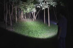 Fenix LD12 2017 Edition LED Flashlight 320 Lumens 10 Fenix LD12 2017 Edition LED Flashlight 320 Lumens -Outdoor Equipment Store Fenix LD12 Flashlight light beam