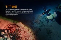 Fenix SD11 XM-L2 U2 Diving Photographic Light -Outdoor Equipment Store Fenix SD11 Diving Flashlight red plus mode