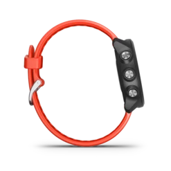 Garmin Forerunner 245 GPS Smartwatch -Outdoor Equipment Store forerunner245Music lava image 04